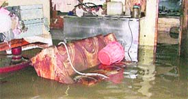Rainwater enters a house at Dugri in Ludhiana.