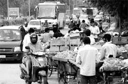 Roadside vendors sell fruits in violation of the ban imposed by the Deputy Commissioner on the Chandigarh-Zirakpur highway