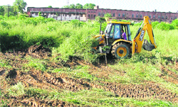 A JCB machine uproots wild growth of weed on the Civil Hospital premises in Ludhiana.