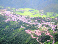 A view of Didihat town. 
