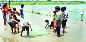 Children catch fish as the water flows on to the pusta.
