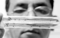 A researcher looks at a mosquito specimen in a test tube as part of their analysis on the dengue disease at the Research Institute for Tropical Medicine in Muntinlupa city, south of Manila. The Department of Health strongly reiterated its call to local governments and communities to sustain clean-up campaigns to prevent dengue particularly in areas which have experienced an increase in dengue cases. From January to August this year, a total number of 45,333 reported affected of dengue disease and 267 deaths, local media reported