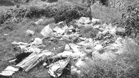 Waste scattered outside a park. tribune photos: nitin mittal