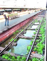 Rainwater and filth between the tracks at the railway station in Jalandhar is a commnn sight.