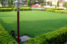 The Gian Devi Vatika at Ferozpur created by the Nandrajog Family