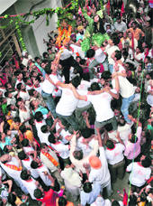A human pyramid is formed to break a buttermilk pot on the eve of Janmashtami in Ludhiana on Sunday