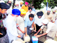 Officials distributing medicines at Sangra village in Mand area