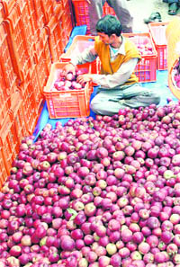 A farmer with his produce.