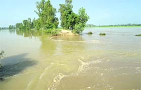 Inundated fields in Sultanpur Lodhi