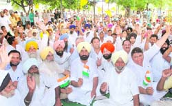 Members of Peoples Party of Punjab hold a dharna in support of the Jan Lokpal Bill in Jalandhar