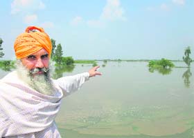 Nishan Singh, sarpanch of Basti Ram Lal in Ferozpur, points towards the submerged crops in the village