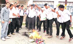 Protesting cricketers and students burn an effigy of the former Jammu and Kashmir Cricket Association general secretary in Doda 