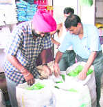 PPCB officials seal polythene bags which were confiscated from a shop at Field Ganj in Ludhiana on Thursday. 