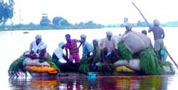 Homeless wanderers: The residents of flood-affected villages being shifted to relief camps in Ferozepur