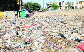 Garbage littered near the road separating Phase 6 of Mohali and Sector 56 of Chandigarh.