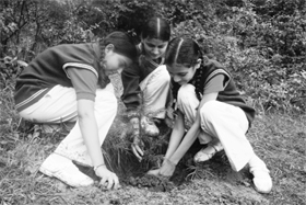 Schoolchildren plant a sapling at Summerhill near Shimla on Saturday.