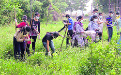 Students of Punjab Agricultural University get tips to weed out congress grass in Ludhiana