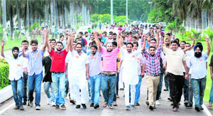 Burying all differences, various factions of Panjab University Students Union strike an alliance before declaring Sumit Goklaney (third from right), a student of the UBS department, as the presidential candidate in Chandigarh on Sunday. 