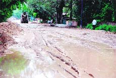 Water accumulated on an internal road (top); and garbage strewn along another at Phase I of Industrial Area in Chandigarh.
