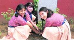 Students plant saplings on founders day at Ryan International School in Ludhiana on Sunday.