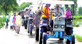 A caravan of tractors with household goods and livestock from across the Kanwanwali Pattan concrete bridge heads towards Fazilka.