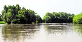 Flooded fields in Mauzam village.