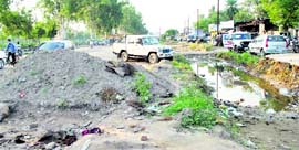 A view of the lower Mall Road in Patiala.