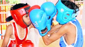 Players in action during the PML Memorial Boxing Championship at SD Public School, Sector 32, in Chandigarh.