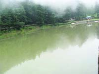 n The Dal Lake in Dharamsala. 