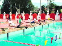 A swimming competition in progress in Dehradun on Wednesday. 