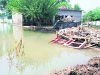 A collapsed kucha house in Jhangar Bhaini village in Fazilka subdivision.