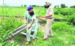  A farmer uproots a fence in Mansa. 