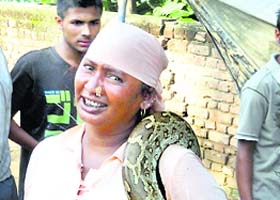 Billo, a snake charmer, was arrested with a python from the Baba Muraad Shah fair in Nakodar on Friday