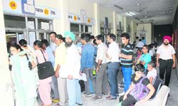 People in a long queue at the Suvidha Centre in Jalandhar