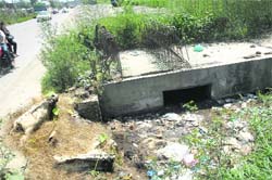 Slaughterhouse waste thrown on the GT Road near the entrance to the Jalandhar Cantonment.