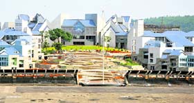 One of Namita Singh’s creations