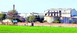 A view of the defunct Rakhra Sugar Mill in Patiala