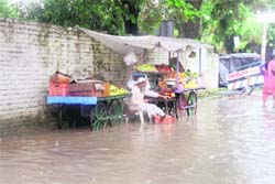 A fruit seller on a flooded road in Dehradun on Tuesday. 