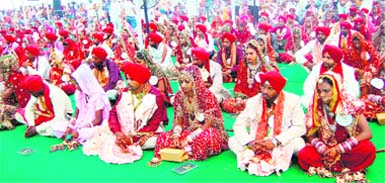 Brides and bridegrooms during a mass marriage function organised by Dera Baba Shri Chand Ji Tahli Sahib in Amritsar