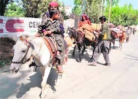 Kashmiri nomads move towards the plain areas as part of their bi-annual shifting