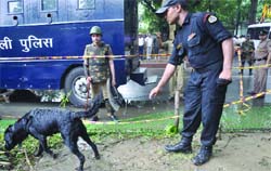 A sniffer dog inspects the area outside the Delhi High Court in New Delhi after a bomb exploded there on Wednesday. 