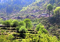 Houses of villagers located in the forest in Chota and Bara Bhangal areas of Kangra district