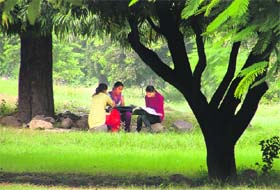 Students study under a tree at Punjab Agricultural University in Ludhiana on Wednesday