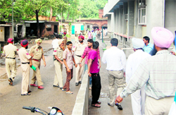 Work at the district courts complex came to a standstill with the lawyers association observing a no-work day in Amritsar