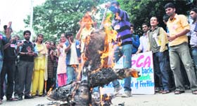 Activists of the SFI burn an effigy of the Vice-Chancellor on the Himachal Pradesh University campus in Shimla on Thursday.
