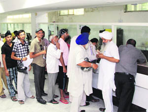 With no token system, residents queue up inside the Suwidha Centre in Jalandhar on Thursday.