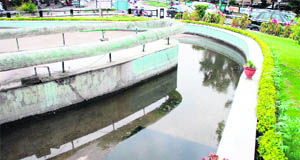 Water pools of the fountains installed at all major roundabouts are breeding grounds of mosquitoes. 