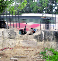 The controversial gate at Rajindra Hospital, Patiala