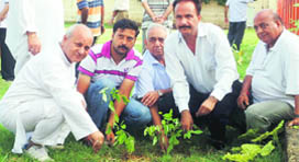 Residents of Gandhi Nagar plant saplings during a plantation drive in the locality in Jammu.