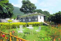 The garden tha offers a beautiful view.